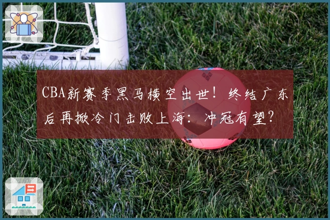 CBA新赛季黑马横空出世！终结广东后再掀冷门击败上海：冲冠有望？