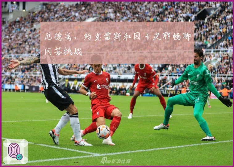 厄德高、约克雷斯和因卡皮耶畅聊问答挑战